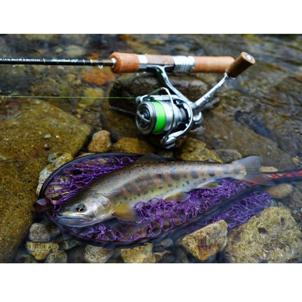 24 SILVER CREEK TRAD